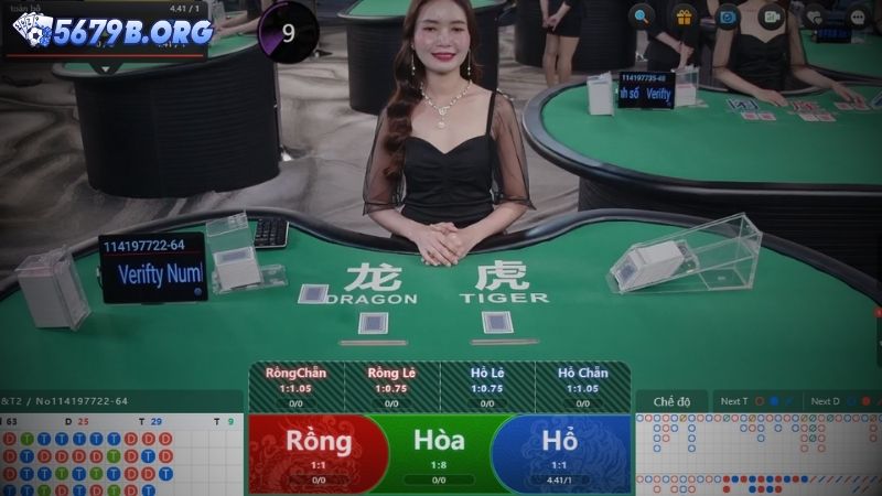 Cách chơi Rồng Hổ trên nhà cái 5679
