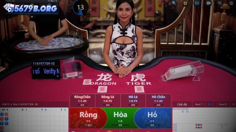 Rồng Hổ 5679 là gì